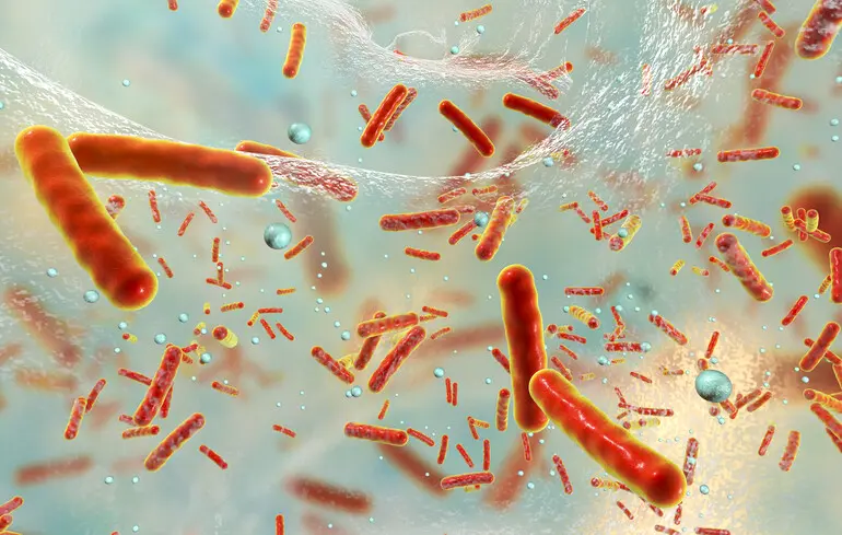 Чи можуть антибіотики нашкодити людині - антибіотики здатні викликати запалення в організмі. 1