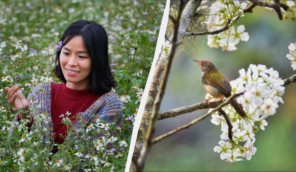 Чому 10 квітня - сумний і небезпечний день: українські прикмети на сьогоднішнє свято