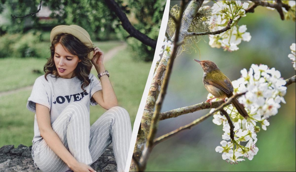 Чому 6 квітня вважається ризикованим: у свято сьогодні слід зайнятися справами в саду 1 Чому 6 квітня вважається небезпечним: у свято сьогодні треба зробити справу в саду