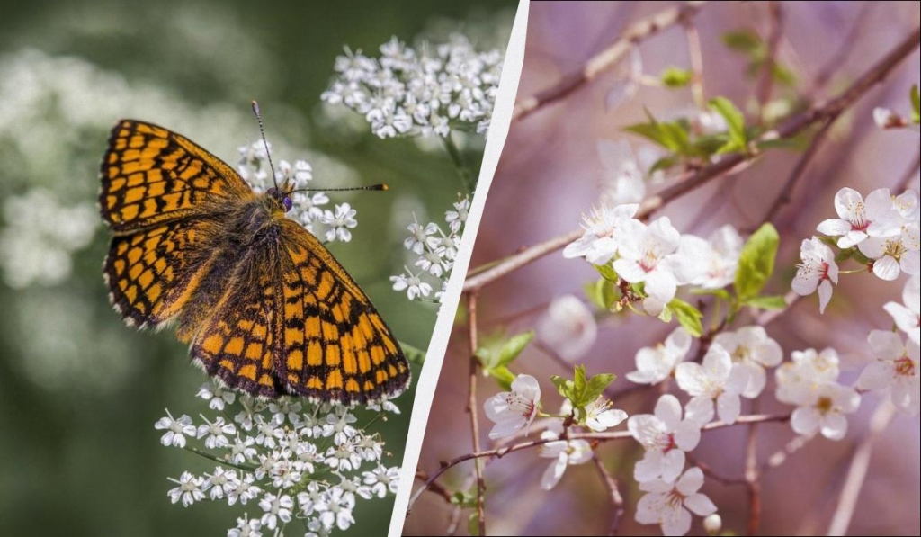 Два великі свята в Україні: кого привітати 23 квітня та за кого помолитися