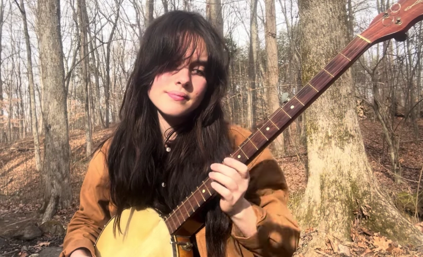 Фолк-музикант під ударом ШІ-підробок та тролінгу авторських прав: YouTube мовчить 1