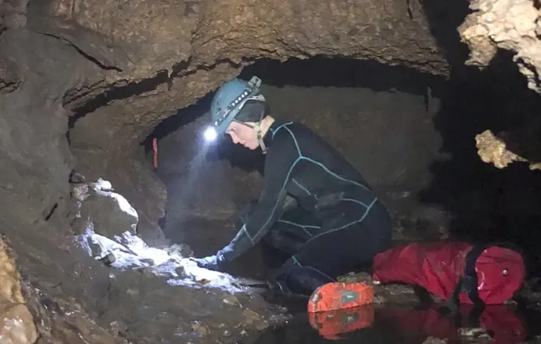 Гігантський броненосець і наземний лінивець - учені знайшли останки загубленої екосистеми у США 1