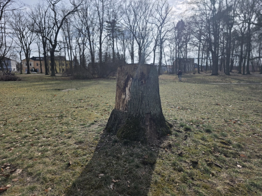 Ігровий смартфон Vivo за $800 перевершив iPhone 17 та Samsung Galaxy S25 Ultra за якістю знімків. 9