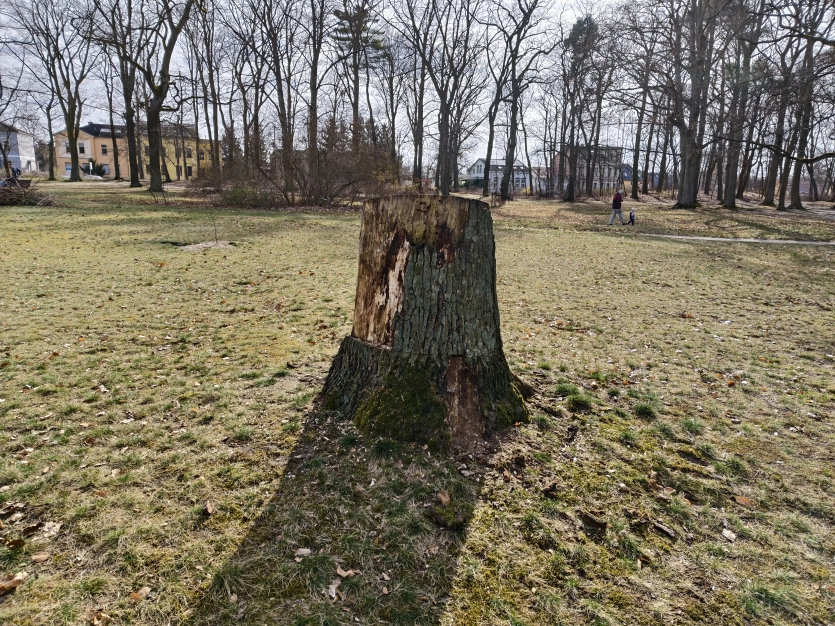 Ігровий смартфон Vivo за $800 перевершив iPhone 17 та Samsung Galaxy S25 Ultra за якістю знімків. 8