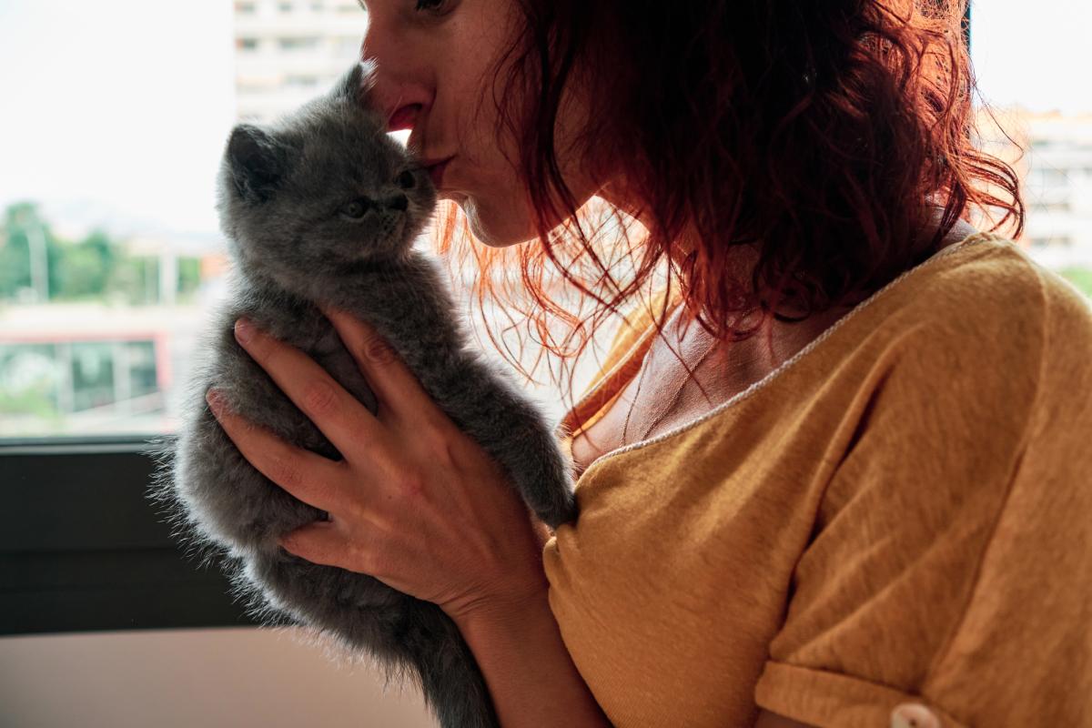 Як довго кіт може памʼятати свого господаря: науковці провели дослідження