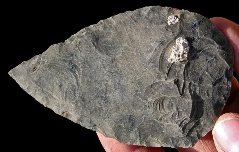 Як існували давні люди 100 тисяч років тому - дослідники виявили в Африці залишки трьох осіб та артефакти. 1