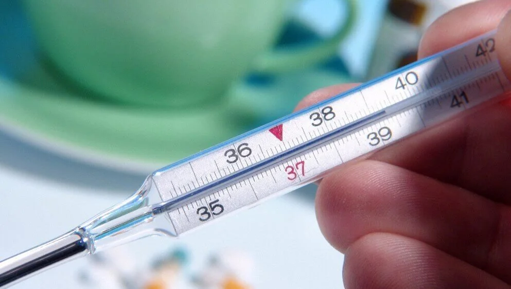 Як виміряти температуру щитовидної залози: детальний посібник з особливостями 1