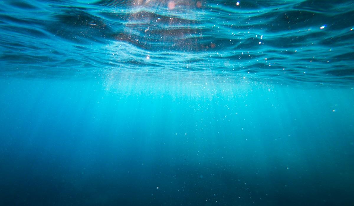 Японські вчені виявили прихований вулкан на дні Тихого океану віком 3 мільйони років