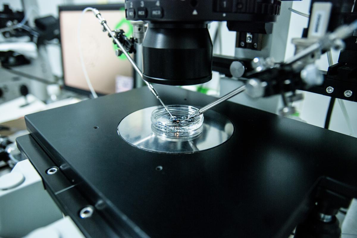 Лікуйте безпліддя за державний кошт: як зробити&nbsp;безкоштовне ЕКЗ в Інституті репродуктивної медицини Дахно