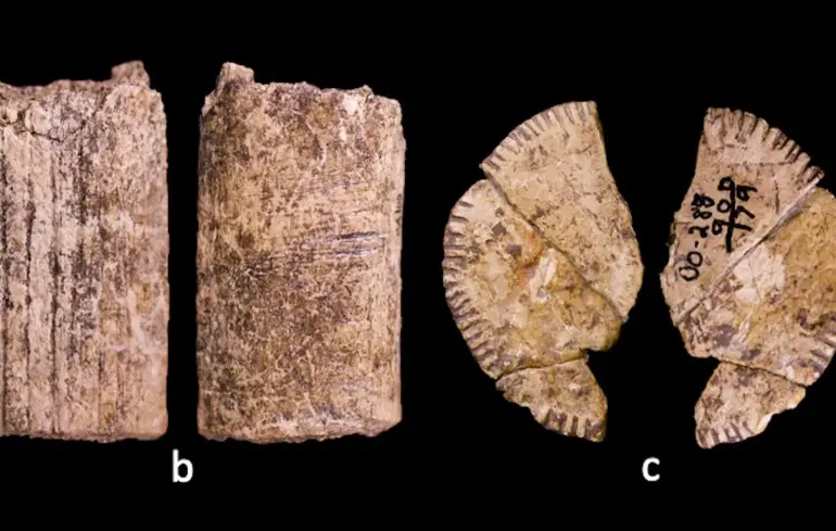 Найдавніші гральні кості у світі - вчені зробили несподіване відкриття у США - фото 1