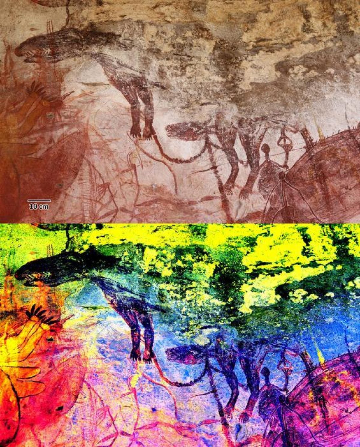 Наскельні малюнки корінних жителів Австралії розкрили правду про тасманійських тигрів (фото)