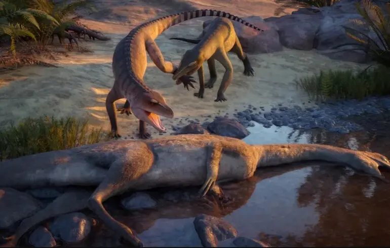 Новий вид викопного крокодила - дослідники описали істоту, що полювала на землі - зображення 1