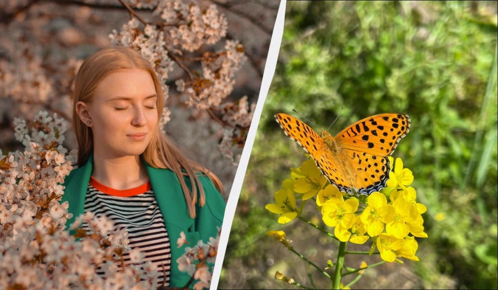 Вшанування померлих: яке свято 16 квітня в Україні та його традиції 1 Прийнято вшановувати померлих: яке свято 16 квітня в Україні та його прикмети