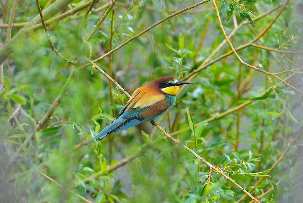 Вшанування померлих: яке свято 16 квітня в Україні та його традиції 2 Прийнято вшановувати померлих: яке свято 16 квітня в Україні та його прикмети