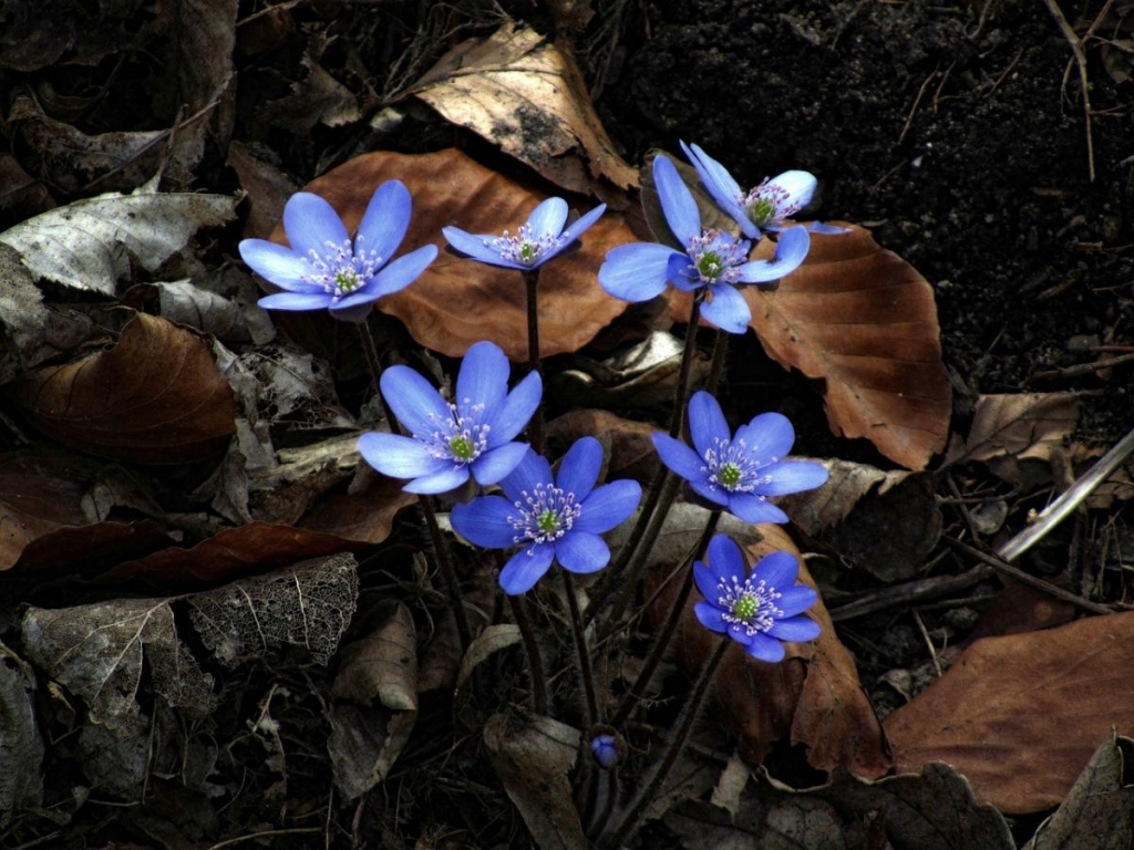 Професійне свято 15 квітня в Україні: кого вітати і чому це радісний день 2 Професійне свято 15 квітня в Україні: кого привітати і чому це щасливий день