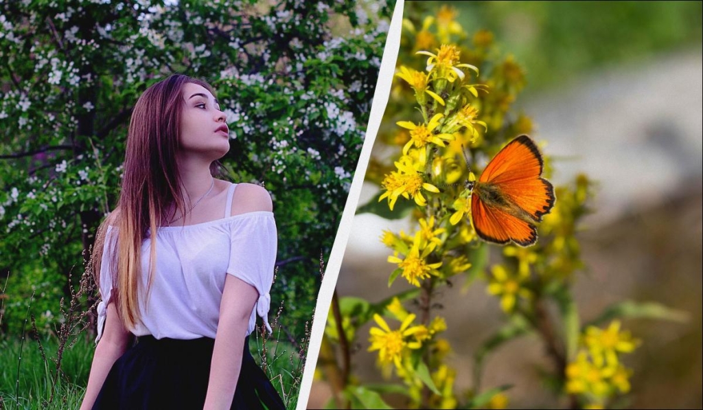 Професійне свято 2 квітня: кого вітаємо та яка існує прикмета щодо прибутку