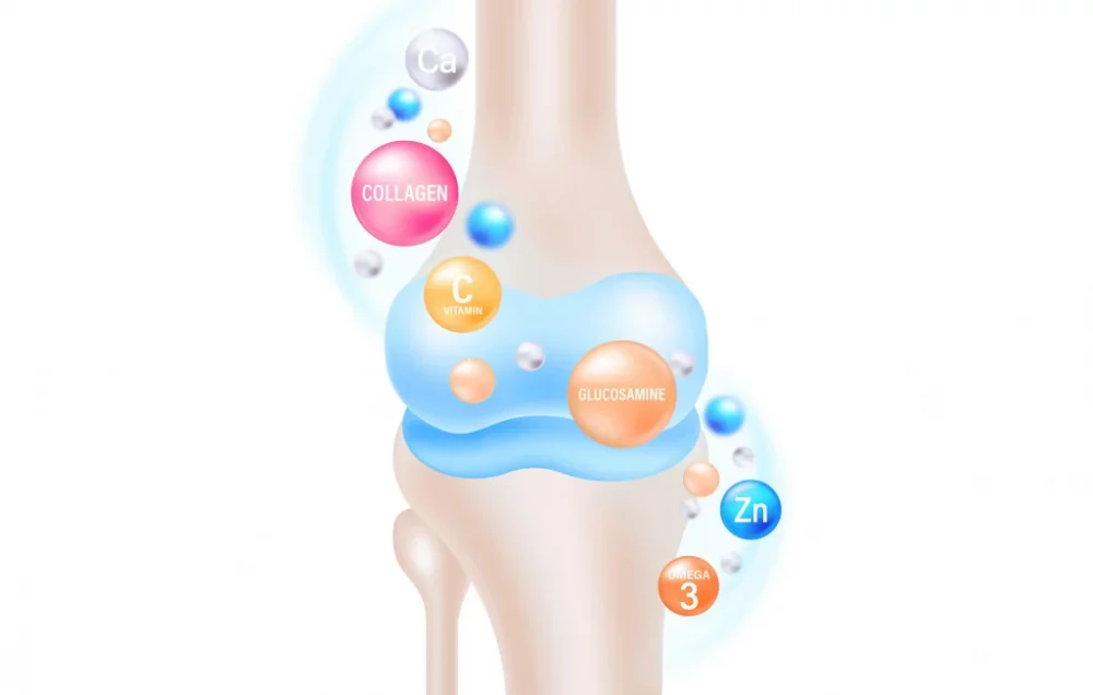 Протекта від чого: надійний щит для суглобів і хрящів 1