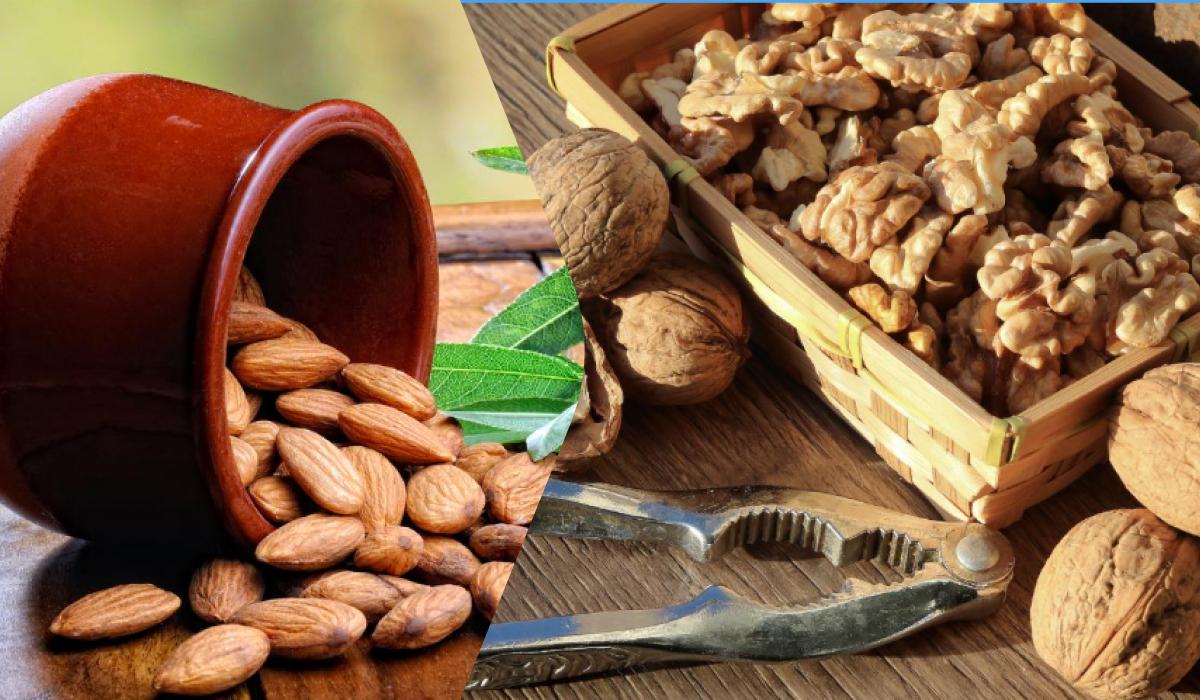 Що краще для здоров'я мозку &ndash; волоські горіхи чи мигдаль: дієтологи дали чітку відповідь