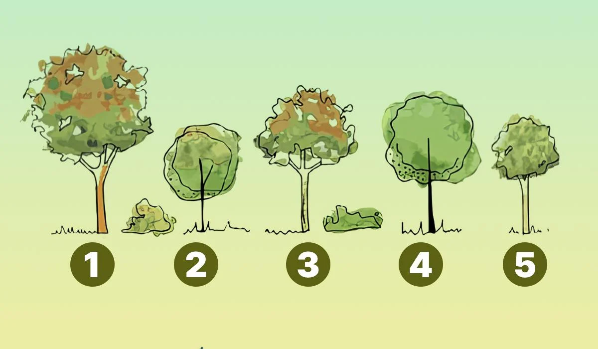 Швидкий тест на егоїзм: яке дерево ви посадите біля будинку - нарциси дають одну відповідь