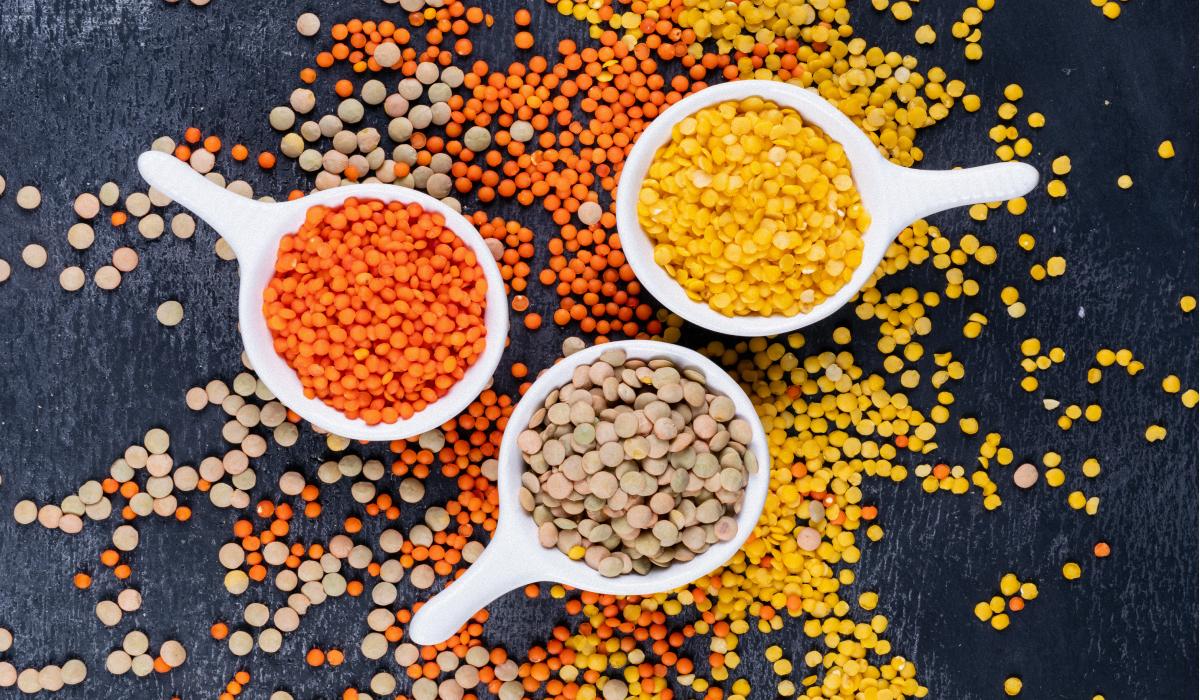 Сочевиця саме цього кольору - найкорисніша: як вона діє на організм