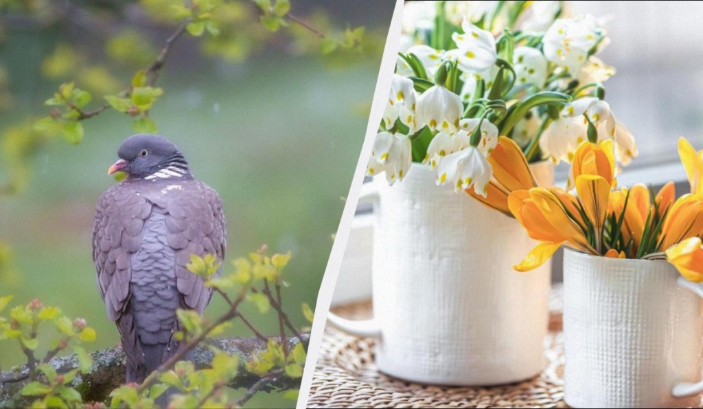 Сьогодні в Україні велике свято: що 11 квітня кожному потрібно зробити вдома