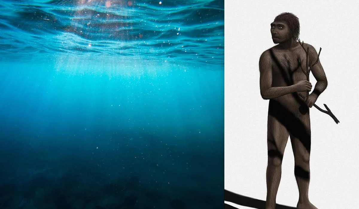 Стародавній підводний світ розкрив вченим нові деталі про предків сучасної людини. 1 Стародавній підводний світ відкрив науковцям нові подробиці про предків сучасних людей