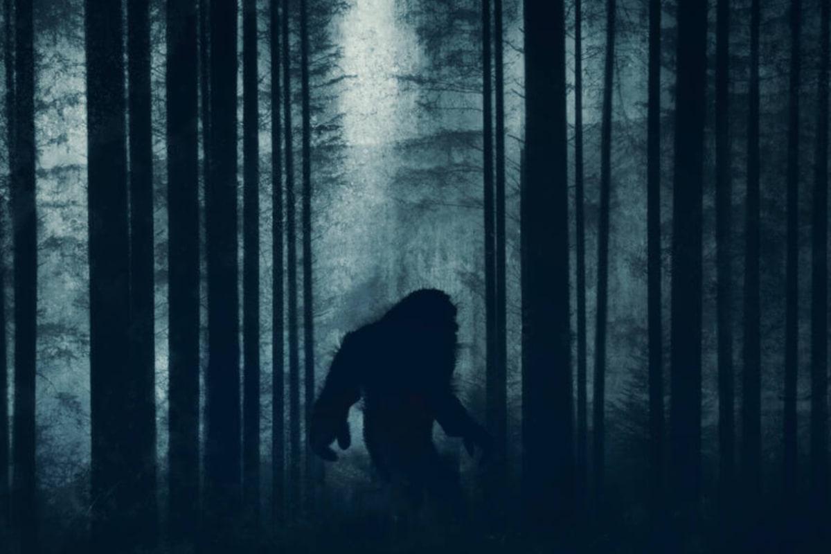 У 1977-му докази існування снігової людини передали ФБР: бюро розкрило правду