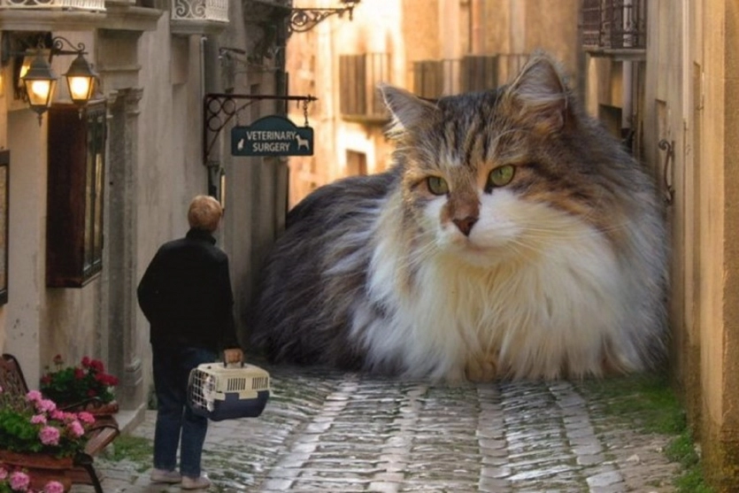 У аеропорту Гонконга відродили мем: величезний інтерактивний "Кетзілла" спить прямо в залі прибуття. 1