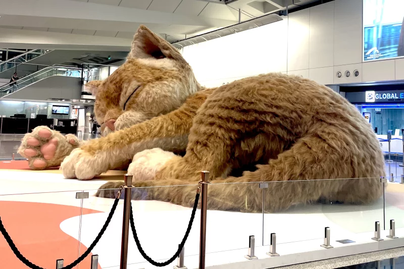 У аеропорту Гонконга відродили мем: величезний інтерактивний "Кетзілла" спить прямо в залі прибуття. 3