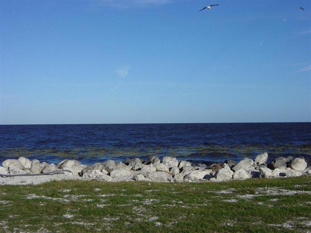 Озеро, де живе 30 тисяч алігаторів: одне з найнебезпечніших на Землі 1 У ньому мешкає 30 тисяч алігаторів: яке одне з найнебезпечніших озер на планеті