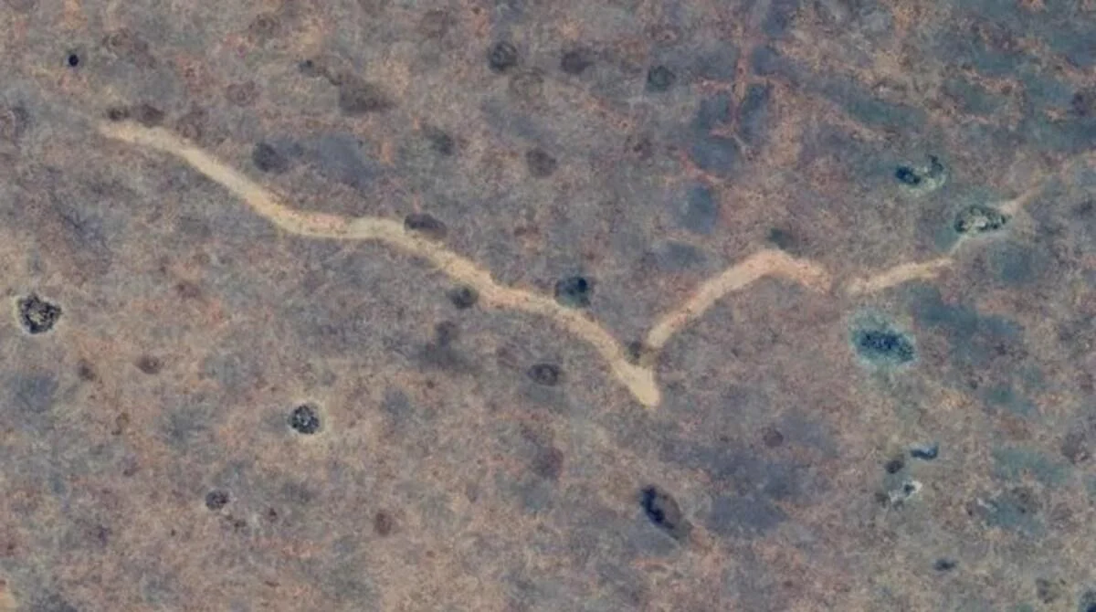 У пустелі Австралії виявлено 11-кілометровий "шрам": він спантеличив вчених