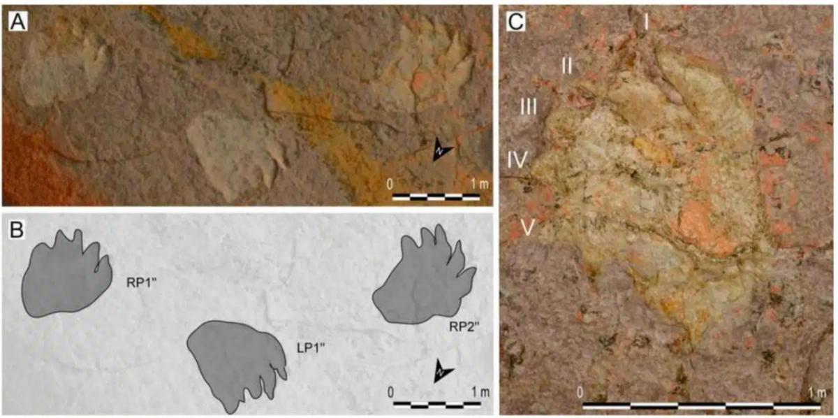 Неповторна знахідка на глибині 500 метрів: науковці знайшли сліди динозаврів на стелі печери 2 Унікальна знахідка на глибині 500 метрів: учені виявили сліди динозаврів на стелі печери