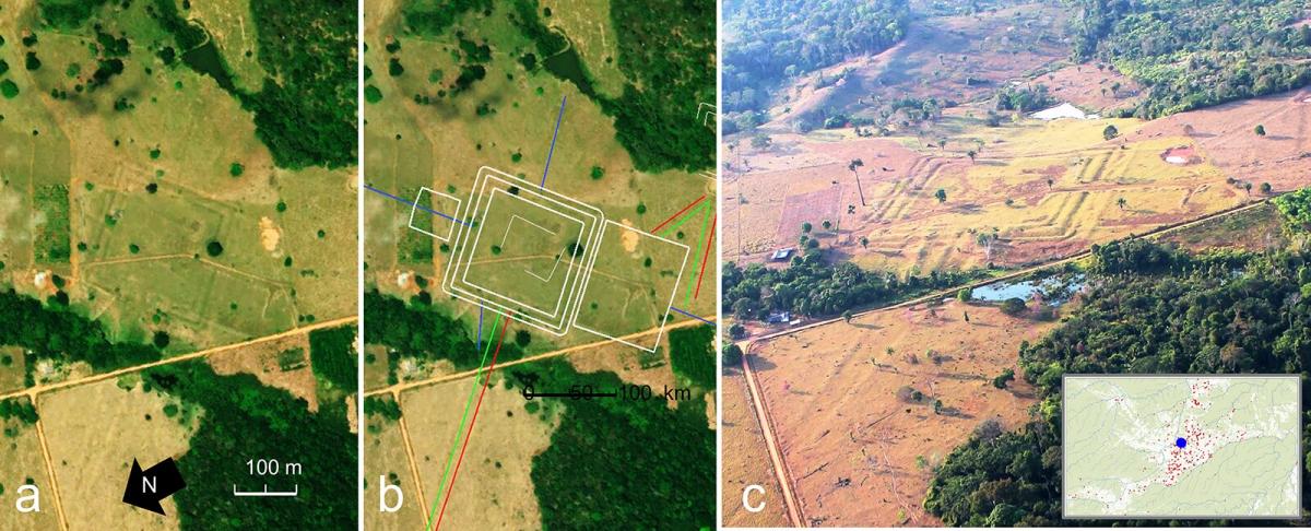 В Амазонії виявили сотні кілометрів стародавніх доріг, що могли вести до духовного світу