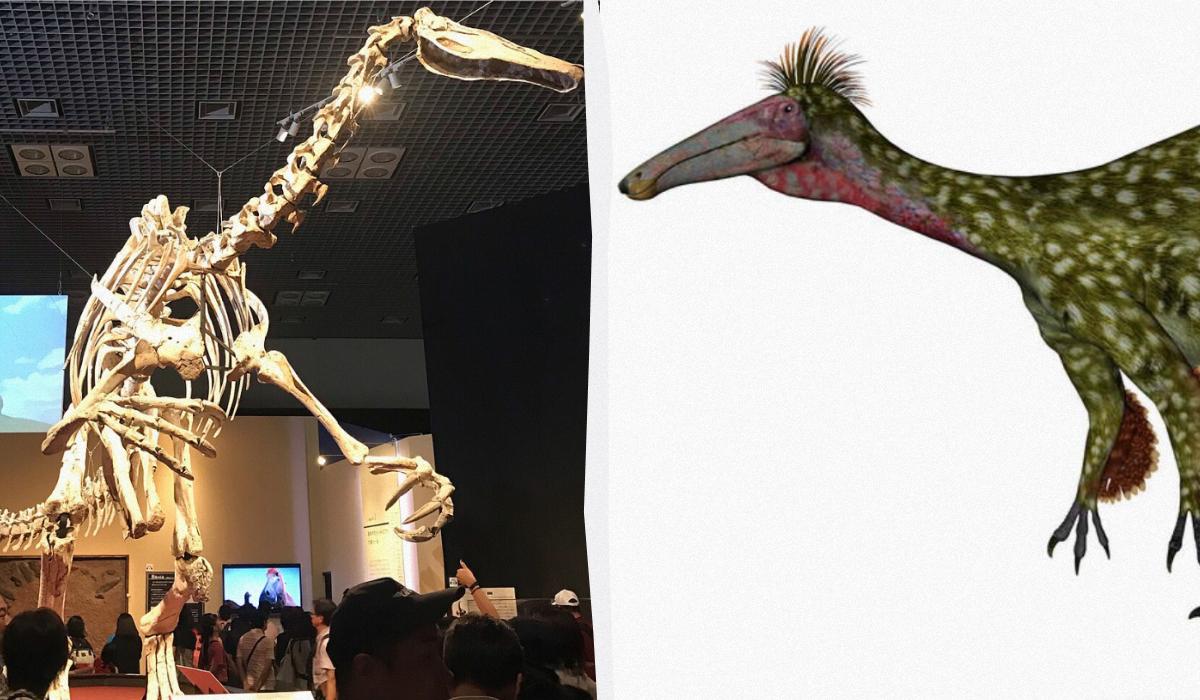 В Аргентині вівчар випадково знайшов рештки гігантського динозавра