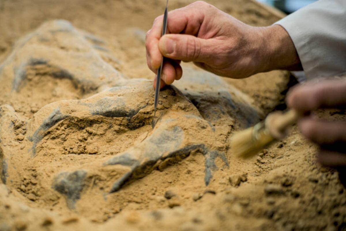 Вчені виявили 7 000-річні скелети з ДНК незнайомого людського виду. 1 Вчені знайшли скелети віком 7 000 років із ДНК невідомого науці людського виду