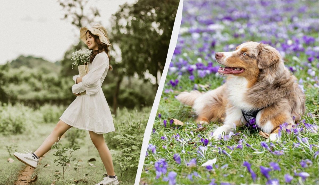 Велике свято для любителів футболу: що Україна відзначає 29 квітня 2026 року