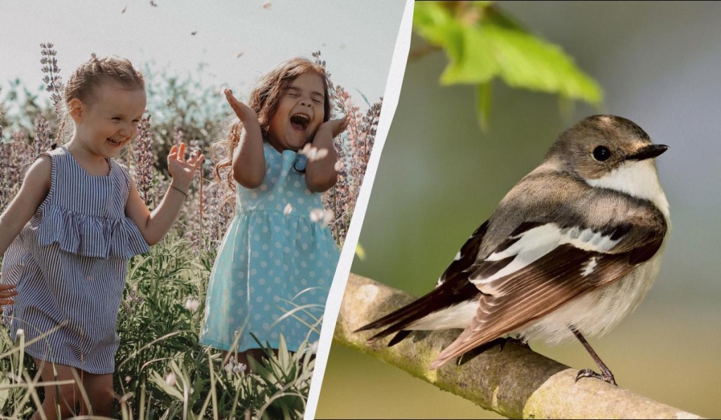 Велике свято в Україні та професійне свято у світі: що робити вдома 9 квітня