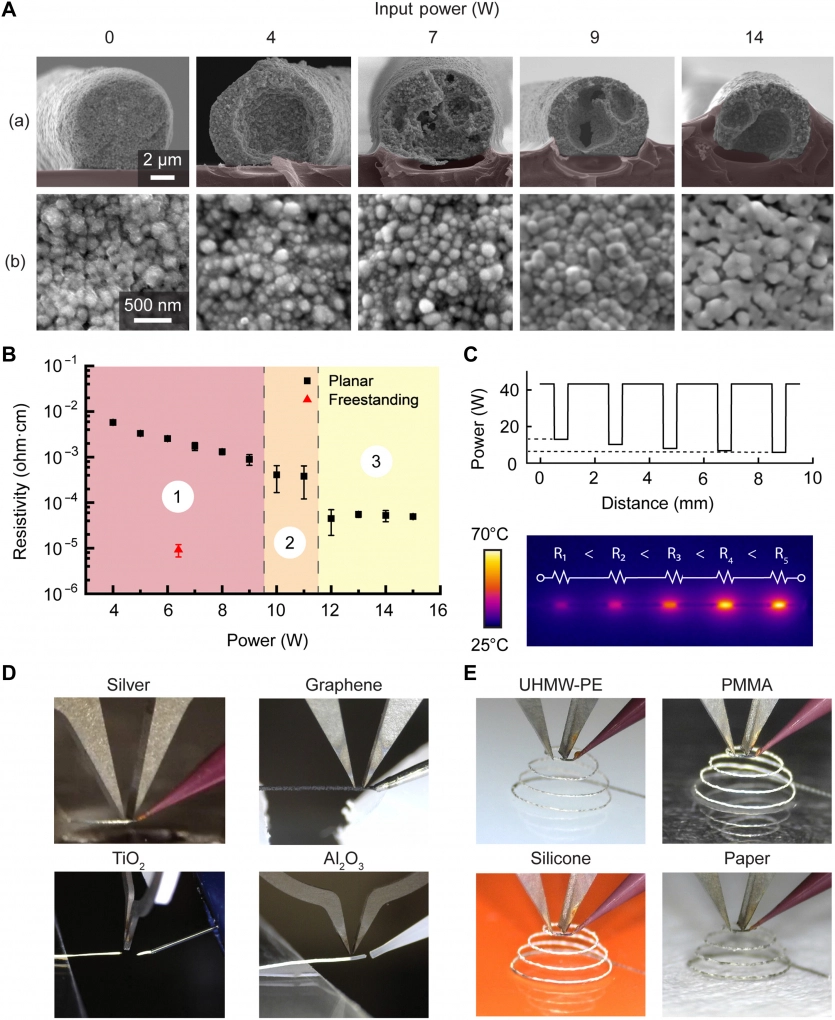 Їстівна електроніка? Чому б і ні: науковці освоїли 3D-друк мікрохвиль на кістках і рослинному листі. 3