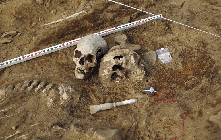 Занепад неоліту трансформував стародавню Європу - дослідники пояснили, що могло відбутися. 1