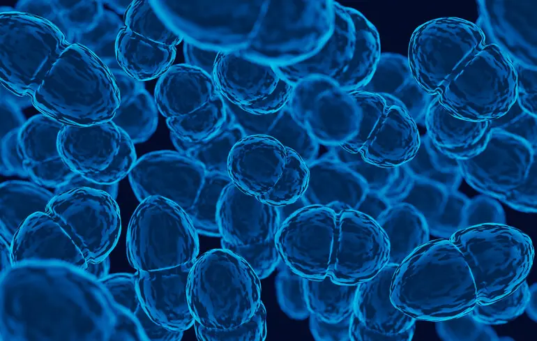 Жінка подолала три аутоімунні хвороби - які дії вжили медики 1