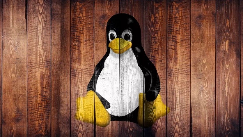 Linux звільнять від каліфорнійського закону про перевірку віку: SteamOS під загрозою 1