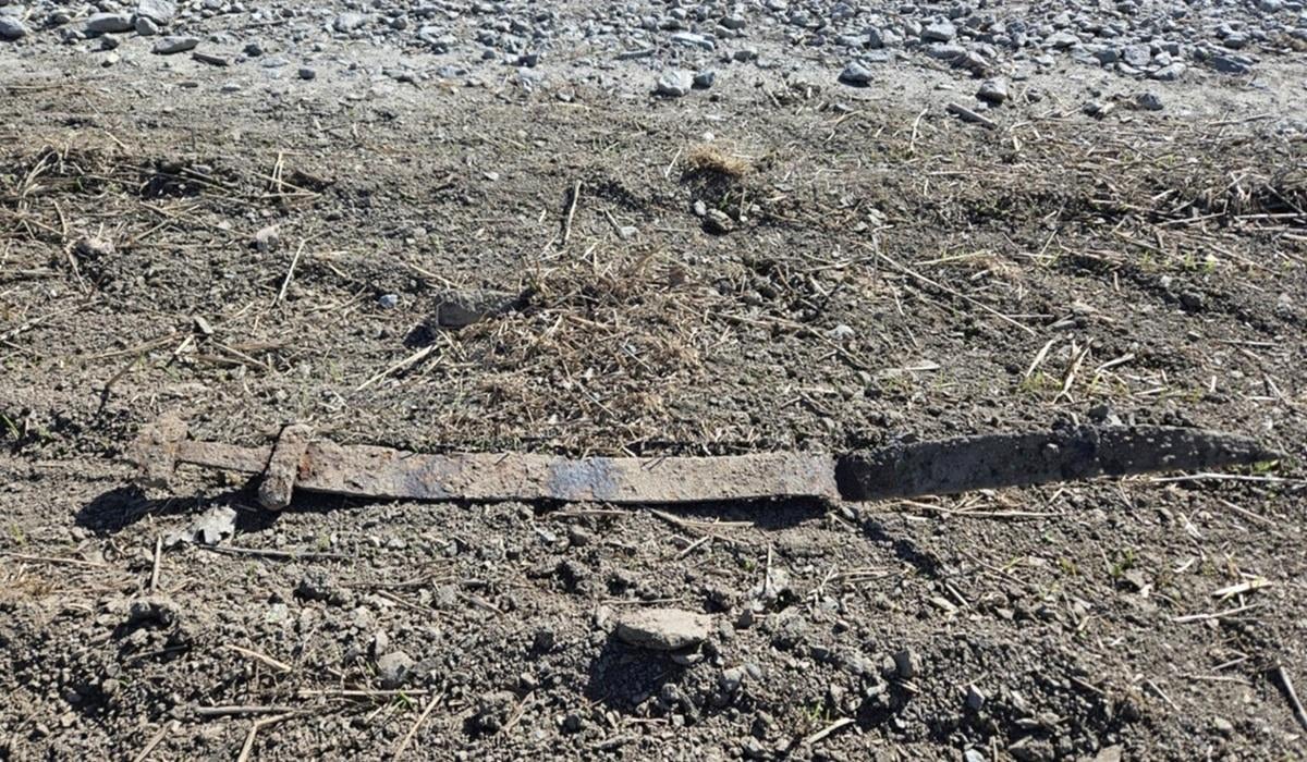У Норвегії шестирічний учень випадково виявив меч віком 1300 років (фото) 1 У Норвегії 6-річний школяр випадково знайшов 1300-річний меч (фото)