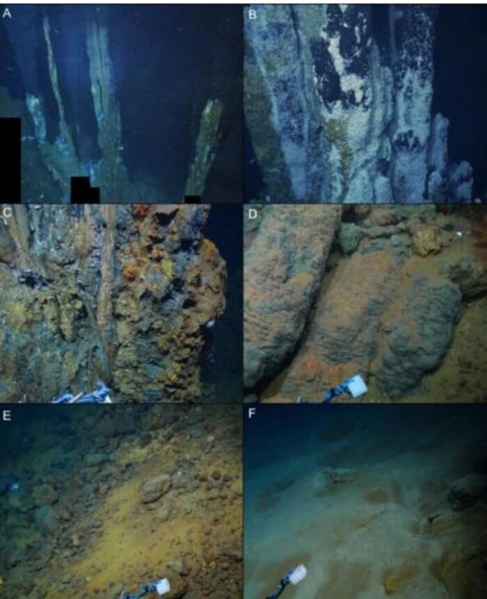 Вчені відправили робота на дно Карибського моря і виявили щось абсолютно несподіване