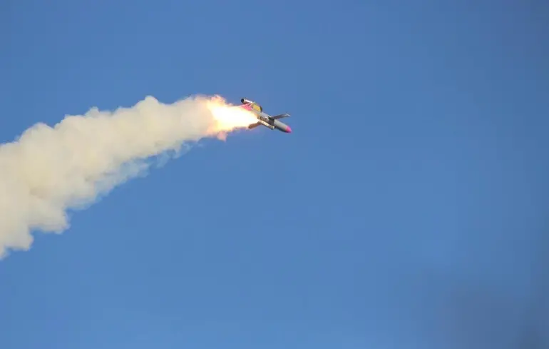 Eurosatory 2026 – Fire Point представила дрон і ракету Flamingo - дальність польоту БпЛА збільшилася до 2700 км - новини України 1