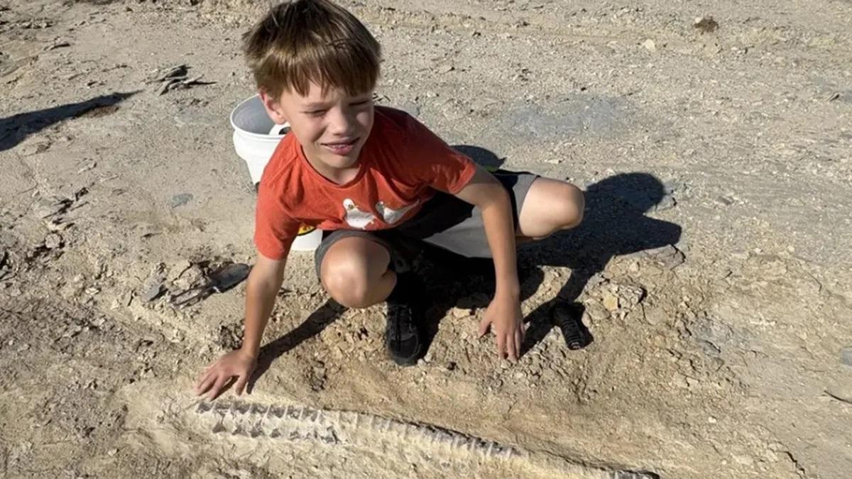 Хлопець виявив скам'янілість гігантської морської рептилії, що має вік 85 мільйонів років. 1 Хлопчик знайшов скам'янілість величезної морської рептилії віком 85 мільйонів років