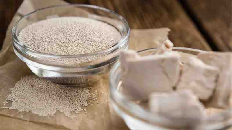 Чим замінити винні дріжджі: найкращі альтернативи для соковитого домашнього вина 1