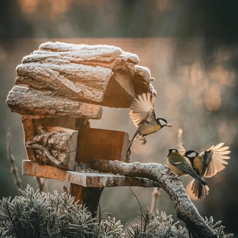 Чому сьогодні всім потрібно мовчати: незвичайне свято 3 грудня та його звичаї