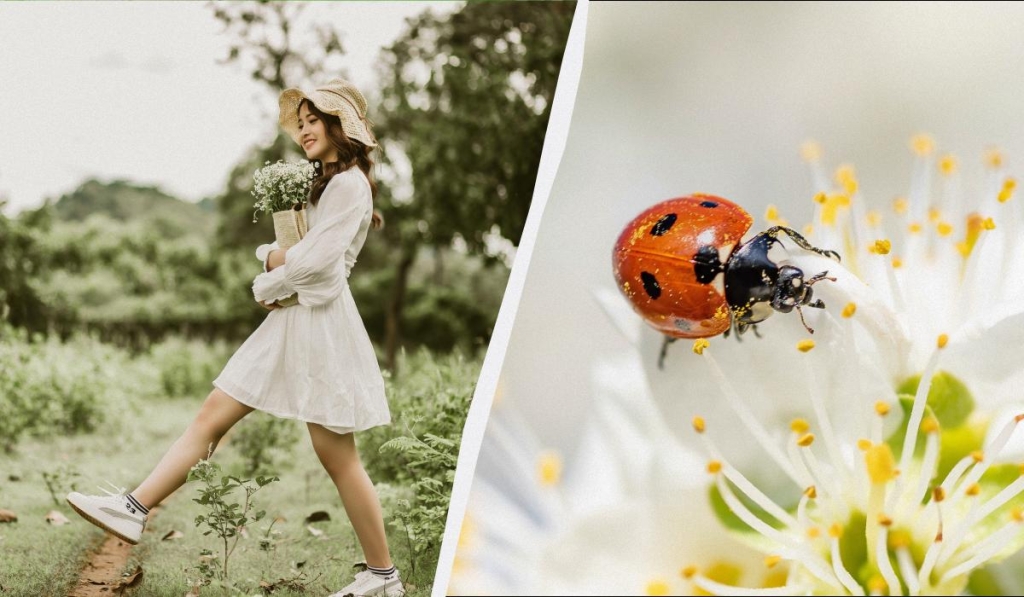 Чому свято 7 квітня вважається небезпечним днем: як не накликати на себе біду