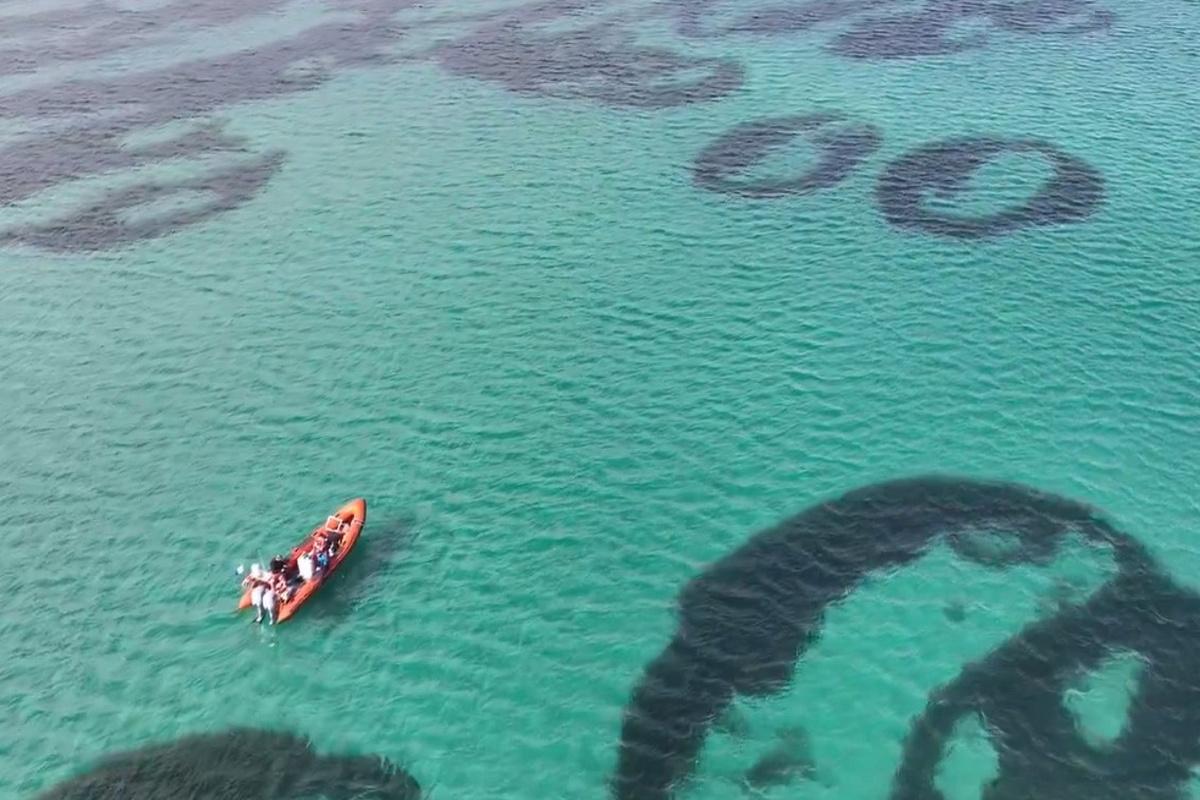 На морському дні біля берегів Шотландії є дивні кільця: вчені не знають, як вони з&rsquo;явилися