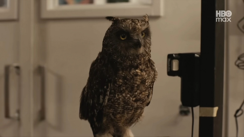 Новий "Гаррі Поттер": HBO показує процес створення серіалу 5